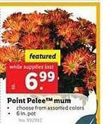 Lidl Point pelee mum offer