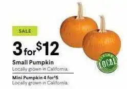 Nob Hill Small pumpkin, mini pumpkin 4 for 5 offer