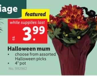 Lidl Halloween mum offer