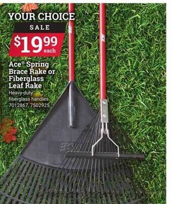Ace Hardware Ace spring brace rake or fiberglass leaf rake offer