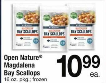 ACME Open nature magdalena bay scallops offer