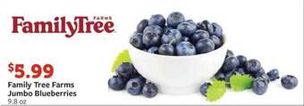 Fareway Family tree farms jumbo blueberries offer