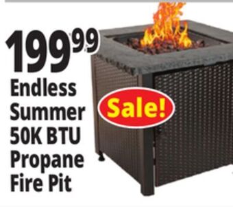 Ocean State Job Lot Endless summer 50k btu propane fire pit offer