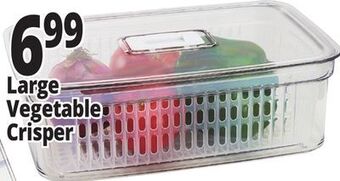 Ocean State Job Lot Large vegetable crisper offer