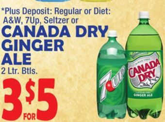 Bravo Supermarkets Canada dry ginger ale offer
