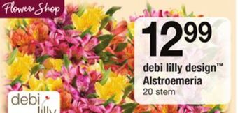 ACME Debi lilly design™ alstroemeria offer