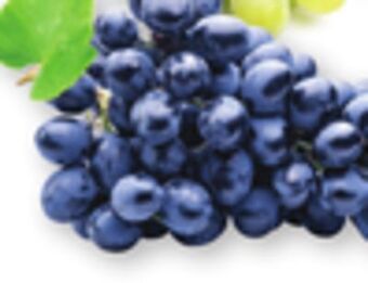 The Fresh Grocer Black seedless grapes offer
