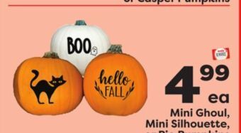 Weis Markets Mini ghoul, mini silhouette, or pie pumpkins offer