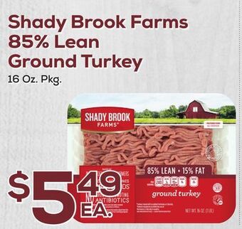 DeCicco & Sons Shady brook farms 85% lean ground turkey offer