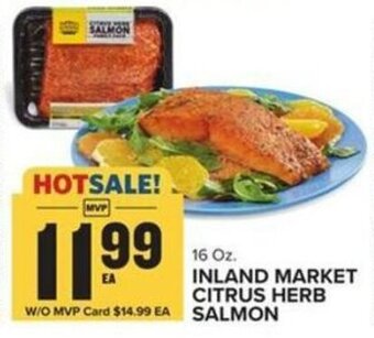 Food Lion Inland Market Citrus Herb Salmon offer