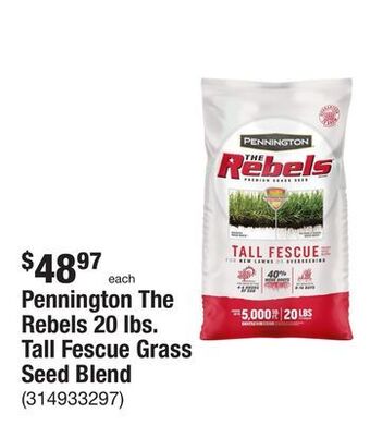 The Home Depot Pennington the rebels 20 lbs. tall fescue grass seed blend offer