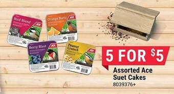 Ace Hardware Ace suet cakes offer