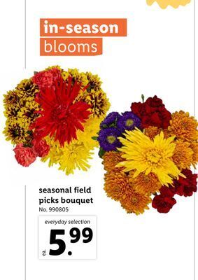 Lidl Seasonal field picks bouquet offer