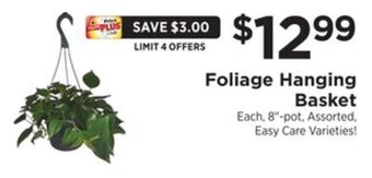 ShopRite Foliage hanging basket offer