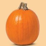 Target Fresh pie pumpkin offer