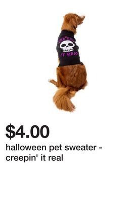 Five Below Halloween pet sweater - creepin' it real offer