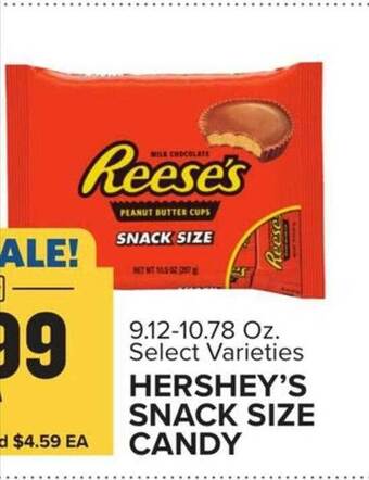 Food Lion Hershey's snack size candy offer