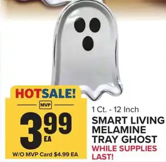 Food Lion Smart living melamine tray ghost offer