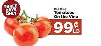Red ripe tomatoes on the vine