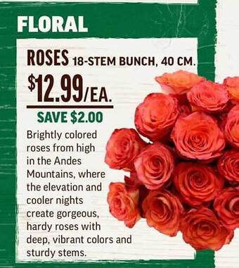 Central Market Roses 18-stem bunch 40 cm offer