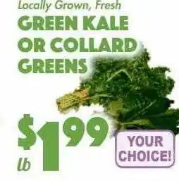 Green kale or collard greens