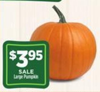 Dollar General Large Pumpkin offer