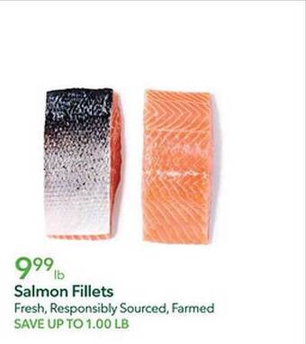 Publix Salmon fillets offer