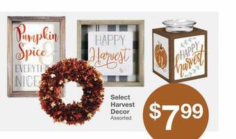 Kinney Drugs Select harvest decor offer