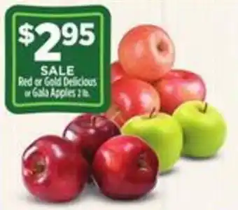 Dollar General Red or Gold Delicious or Gala Apples offer