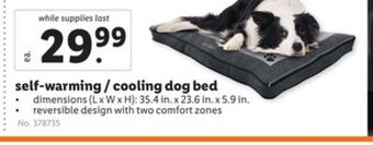 Lidl Self-warming/cooling dog bed offer