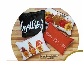 Meijer Harvest decorative pillows offer