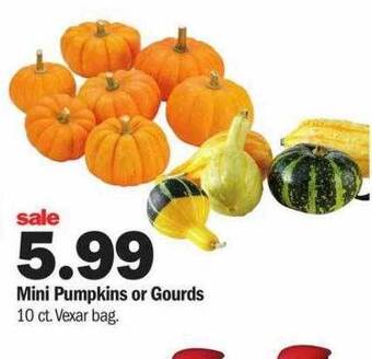 Meijer Mini pumpkins or gourds offer