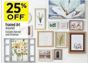 Dollar General Framed art offer