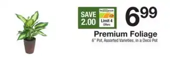 The Fresh Grocer Premium foliage offer