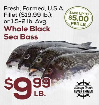 DeCicco & Sons Whole black sea bass offer