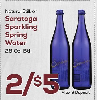 DeCicco & Sons Saratoga sparkling spring water offer