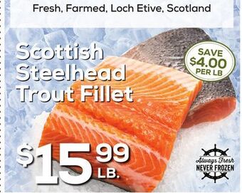 DeCicco & Sons Scottish steelhead trout fillet offer