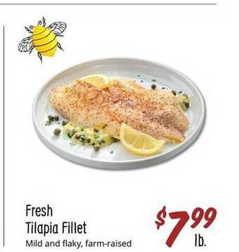 Sprouts Farmers Market Fresh tilapia fillet offer
