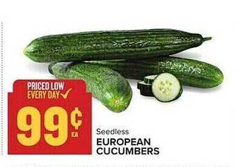 Food Lion European cucumbers offer