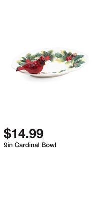 TJ Maxx 9in cardinal bowl offer