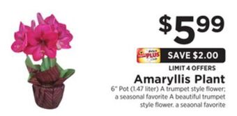 ShopRite Amaryllis plant offer