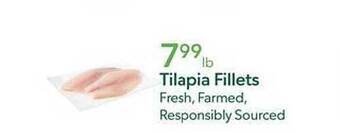 Publix Tilapia fillets offer