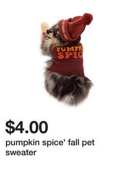 Five Below Pumpkin spice' fall pet sweater offer