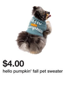Five Below Hello pumpkin' fall pet sweater offer