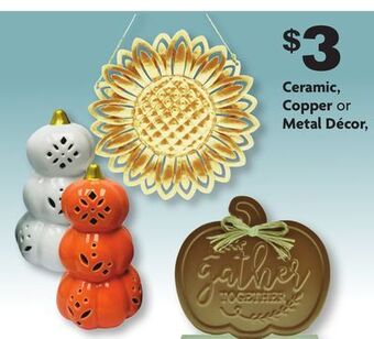 Family Dollar Ceramic, copper or metal décor offer