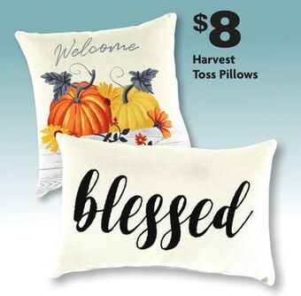 Family Dollar Harvest toss pillows offer