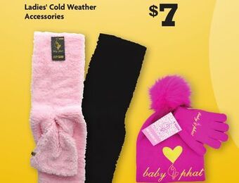 Family Dollar Ladies' cold weather accessories offer