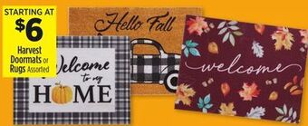 Dollar General Harvest doormats or rugs offer