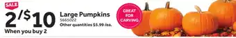 Stop&Shop Large Pumpkins offer