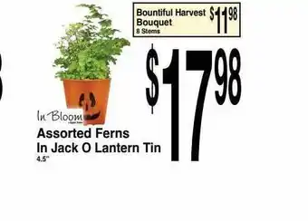 Super Saver Assorted ferns in jack o lantern tin offer